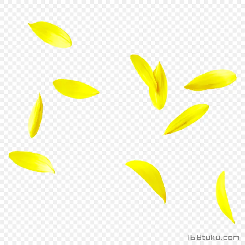 黄色花瓣