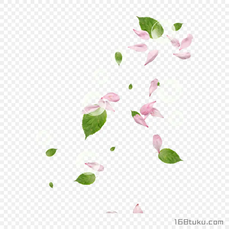 手绘花瓣