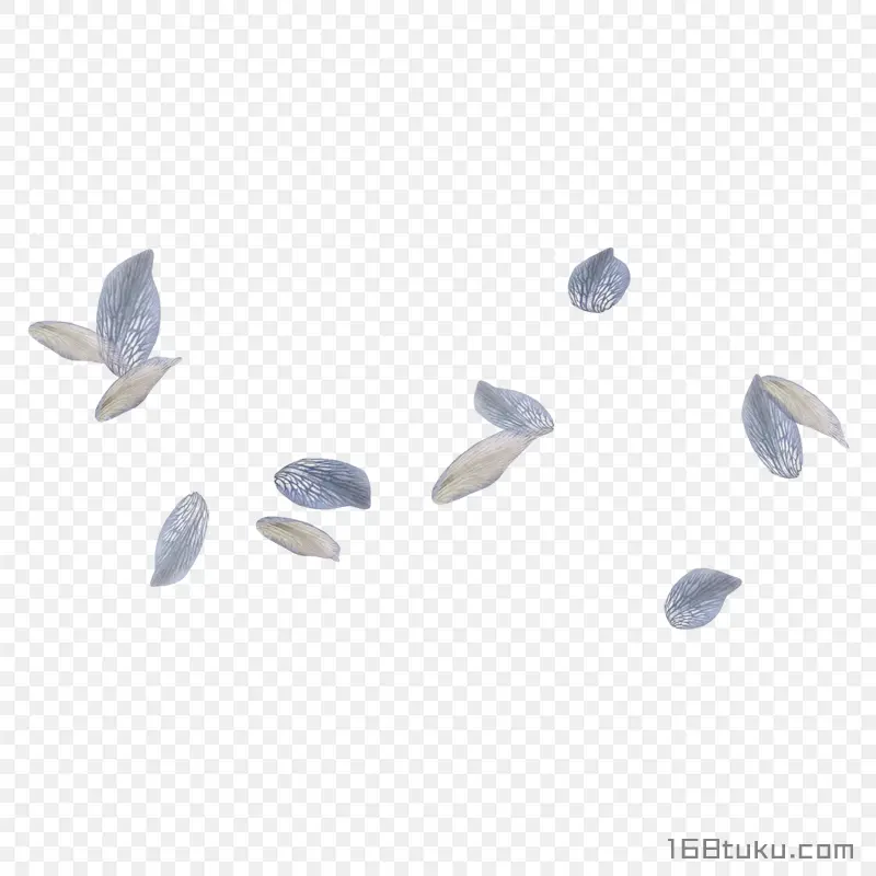 花瓣