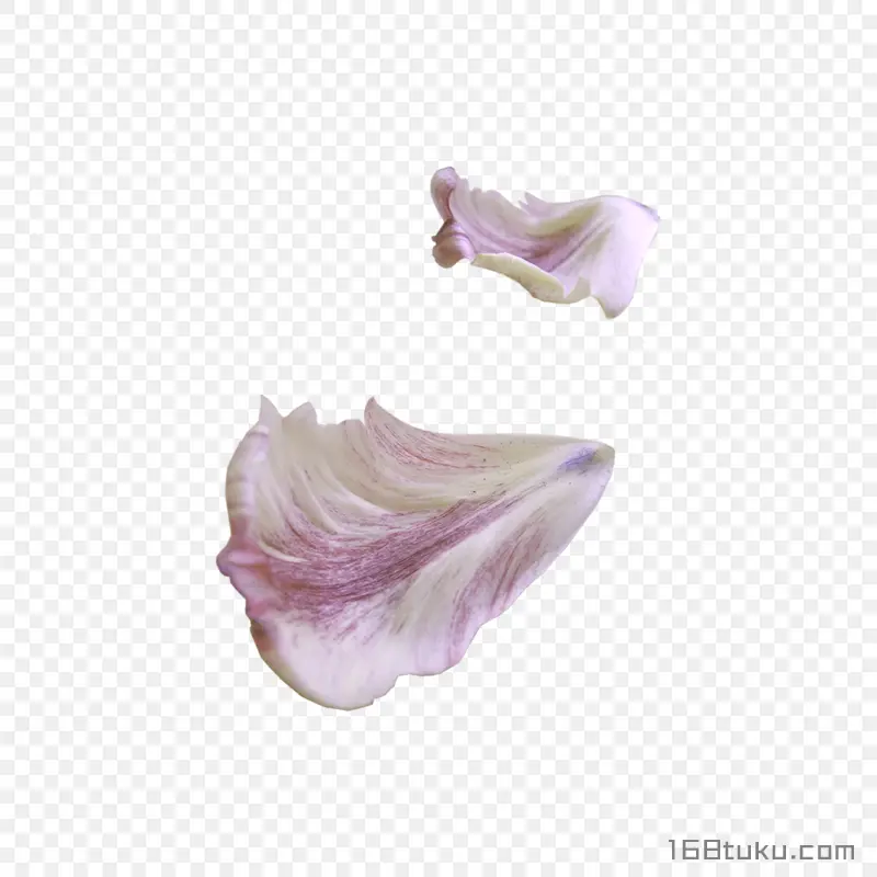 花瓣