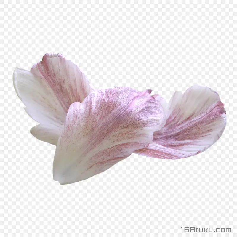花瓣