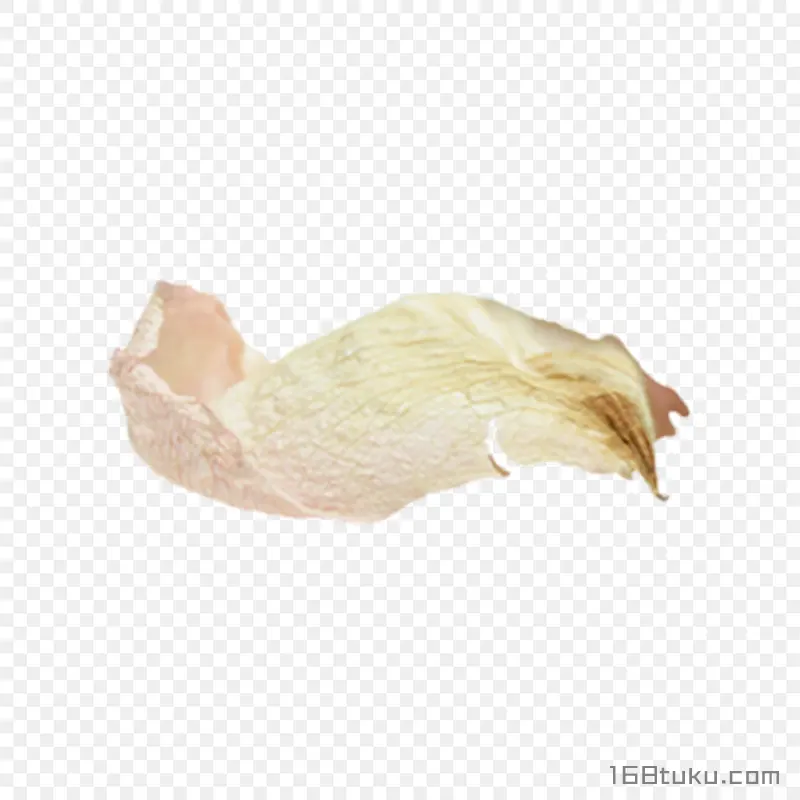 花瓣