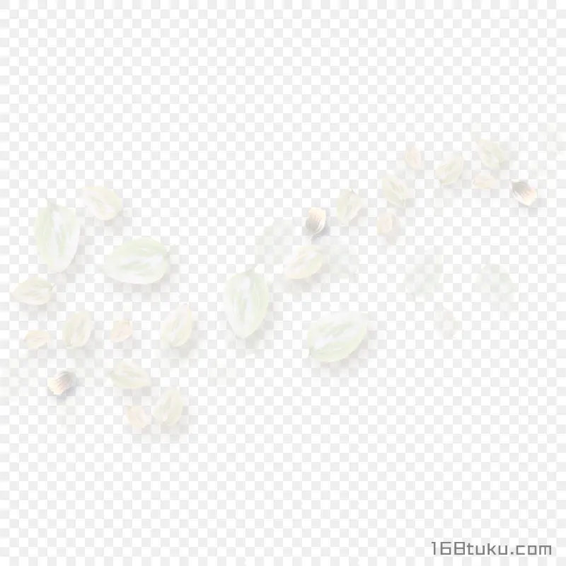 花瓣