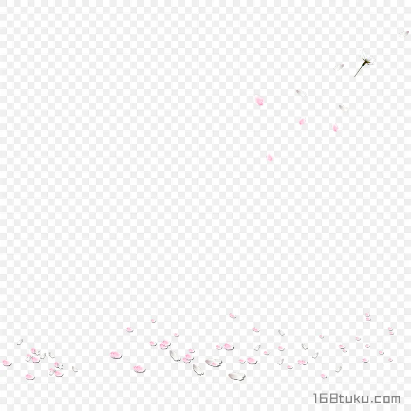 花瓣