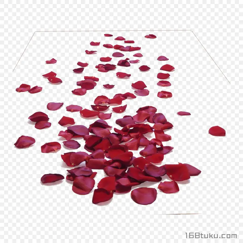 红色花瓣