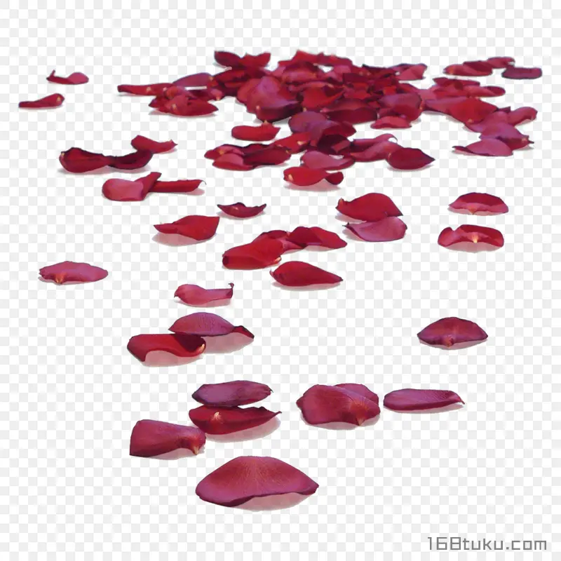红色花瓣