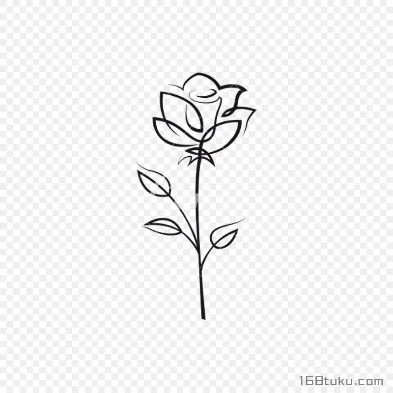 手绘插画一支玫瑰花月季花线描玫瑰png素材免费下载免扣