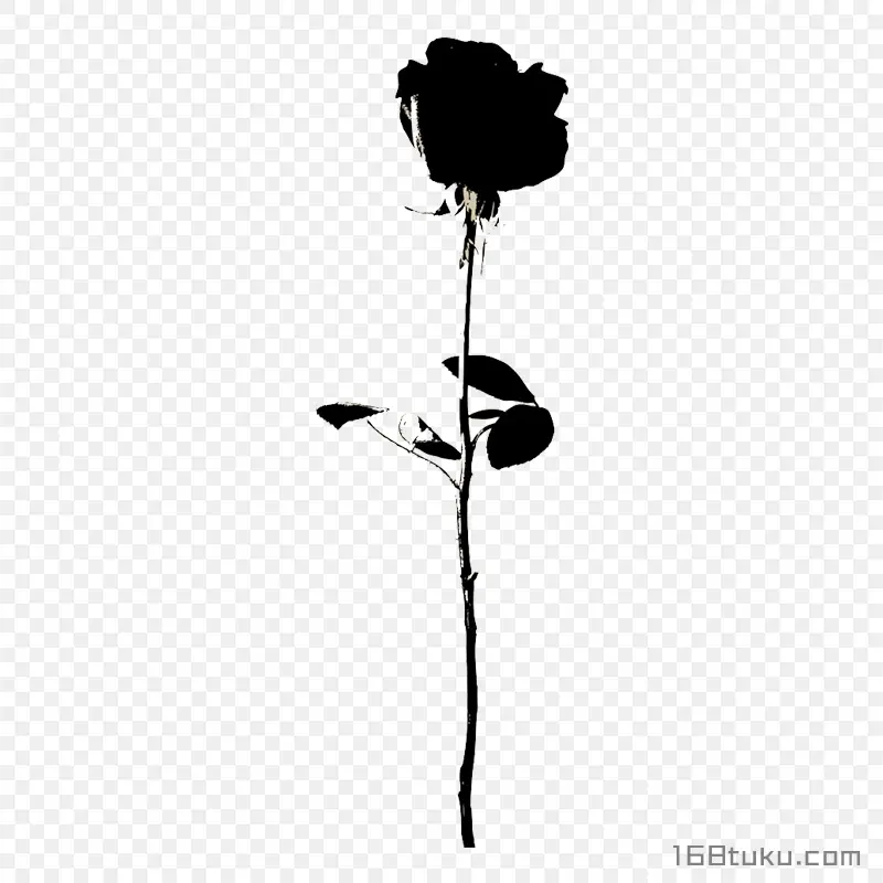 插画一支玫瑰花黑玫瑰影子png素材免费下载免扣