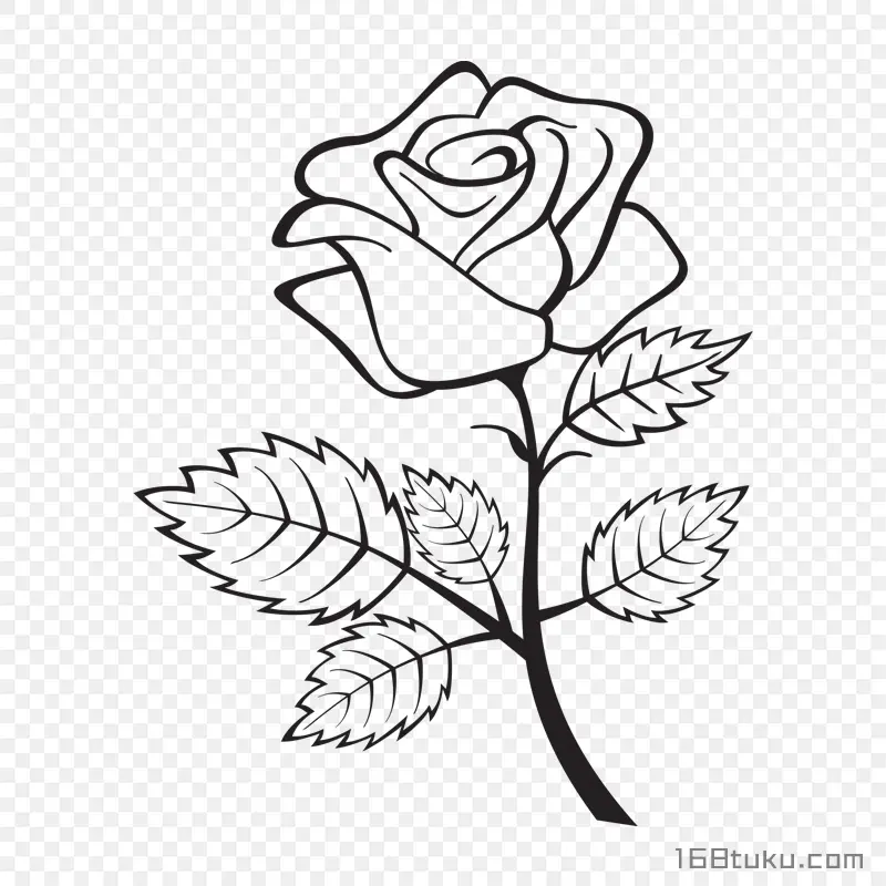 手绘插画一支玫瑰花月季花线描玫瑰png素材免费下载免扣