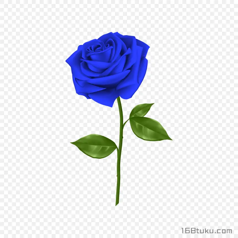 一支玫瑰花蓝色玫瑰花蓝色妖姬png素材免费下载免扣