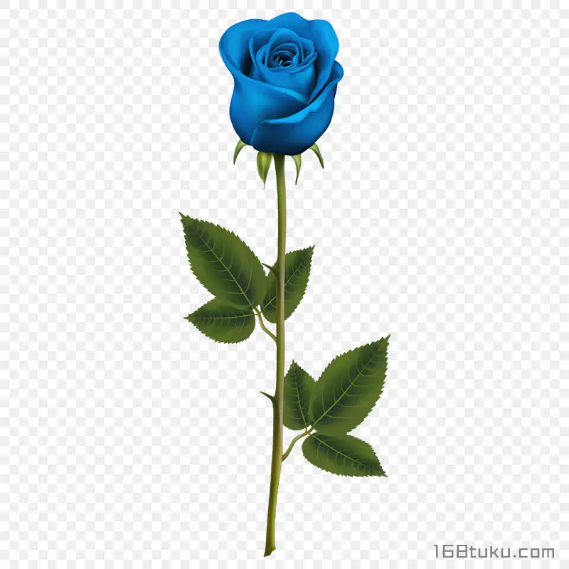 一支玫瑰花蓝色玫瑰花蓝色妖姬png素材免费下载免扣