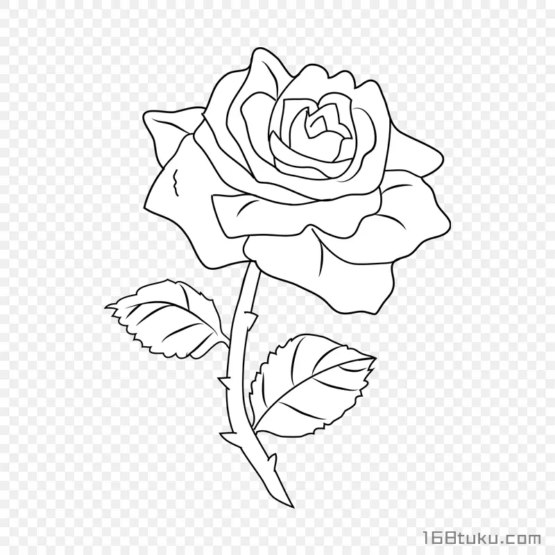 手绘插画一支玫瑰花月季花线描玫瑰png素材免费下载免扣