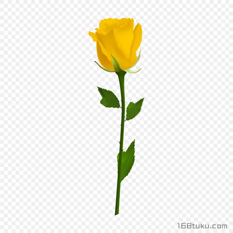 一支玫瑰花黄玫瑰蔷薇花月季花png素材免费下载免扣