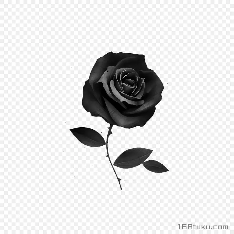 一支玫瑰花黑玫瑰蔷薇花月季花png素材免费下载免扣