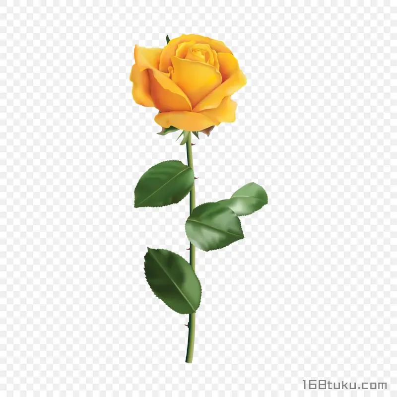 一支玫瑰花黄玫瑰蔷薇花月季花png素材免费下载免扣