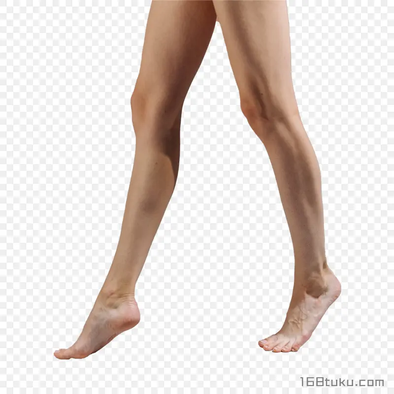 美腿大腿小腿腿模脚模踮脚PNG素材免抠图片免费下载