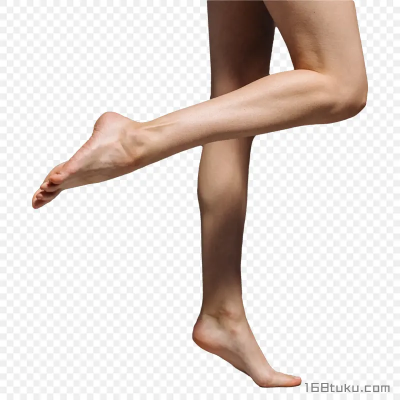 美腿大腿小腿抬腿踮脚PNG素材免抠图片免费下载