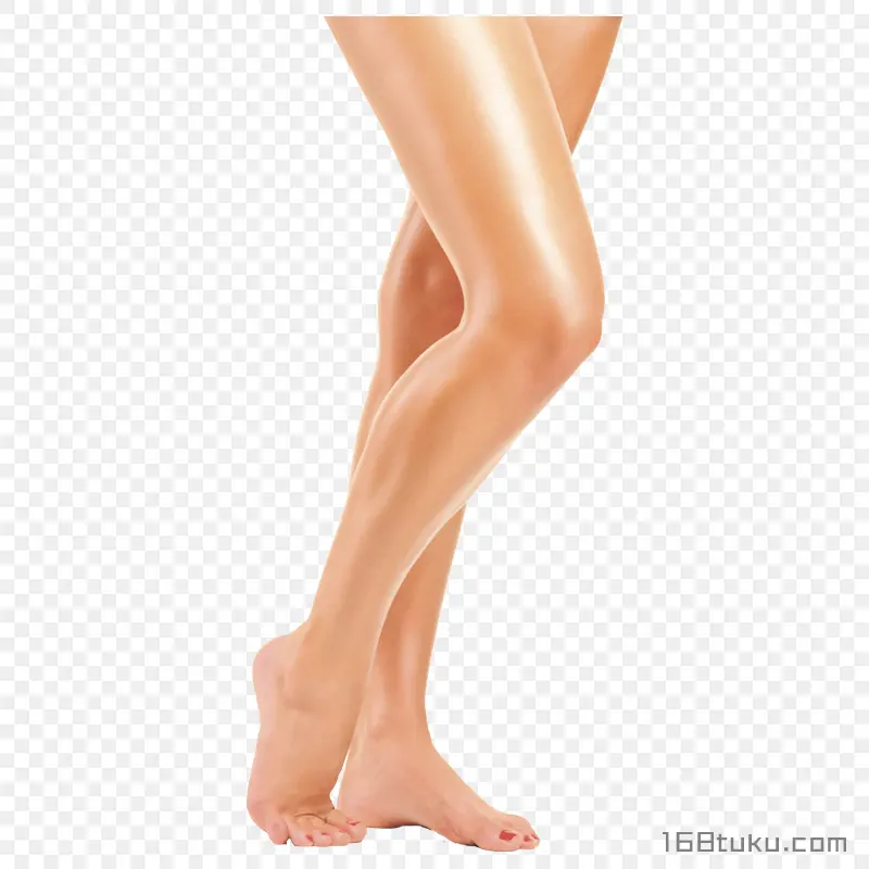 美腿大腿小腿踮脚PNG素材免抠图片免费下载