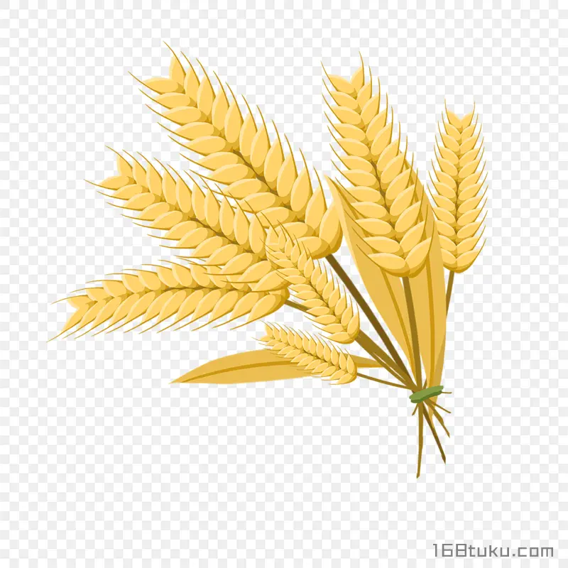 卡通小麦