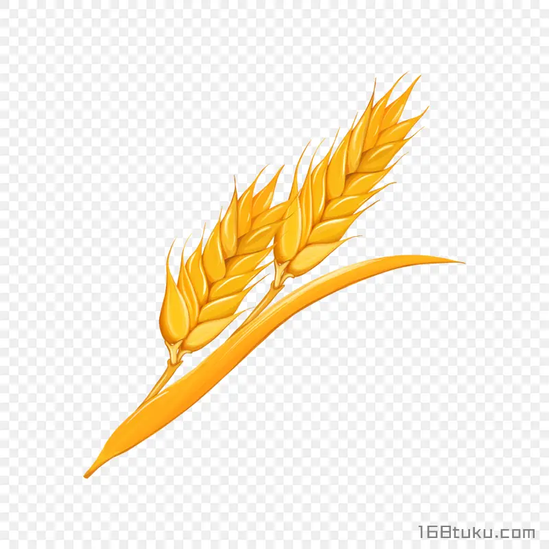 卡通麦穗