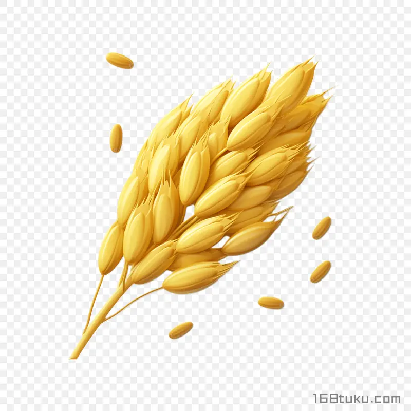 卡通麦穗小麦
