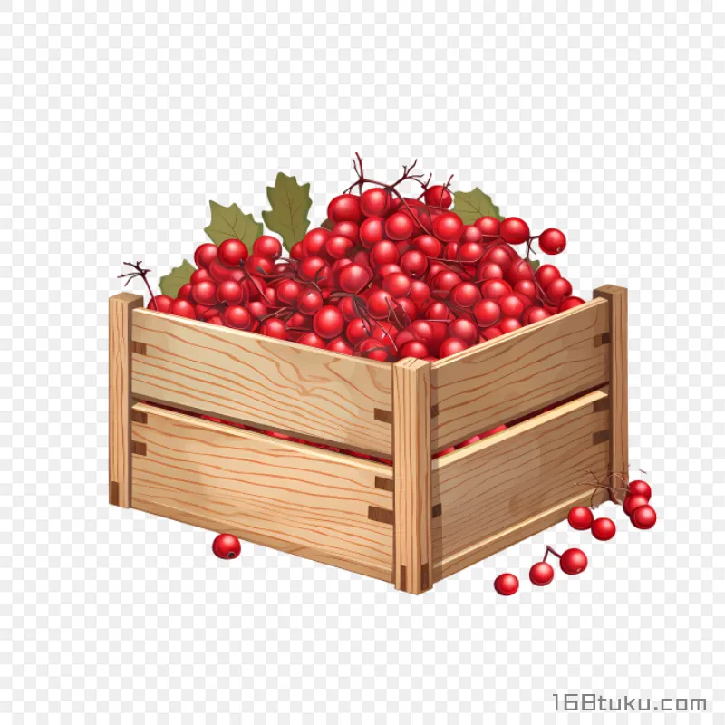 装新鲜樱桃的木框插画免抠素材免费png